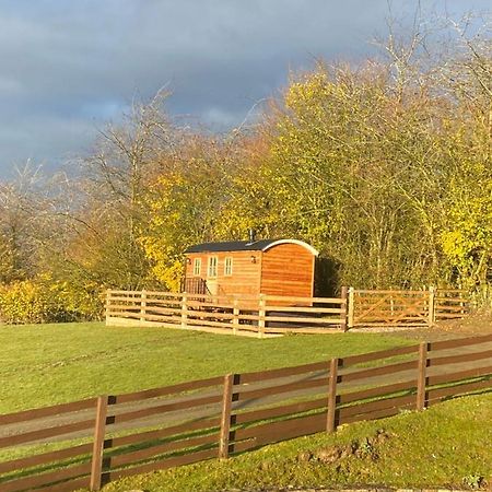 The Snug At Coed Y Gaer Villa Oswestry Exterior foto