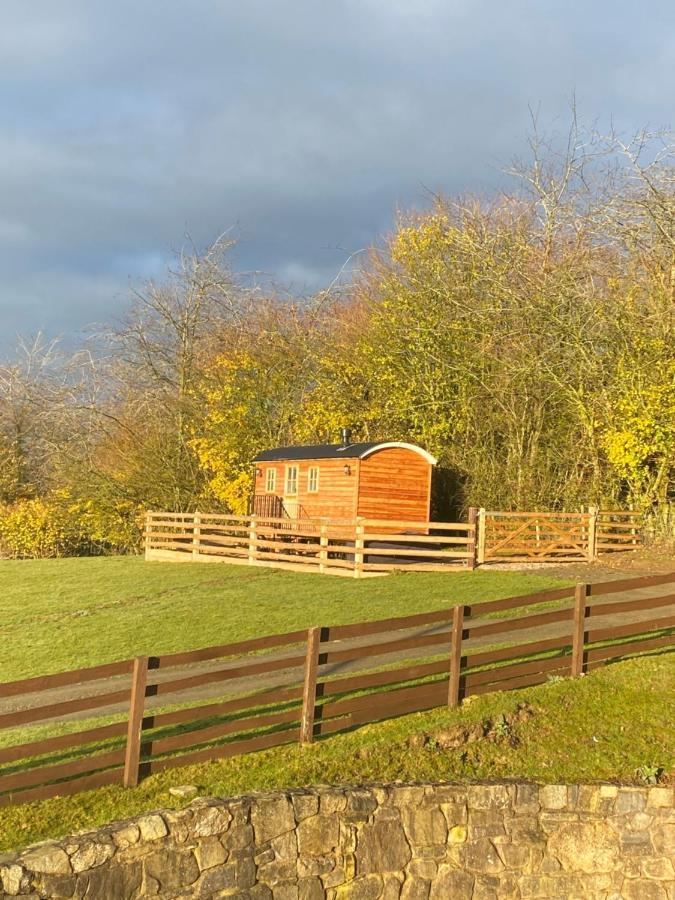 The Snug At Coed Y Gaer Villa Oswestry Exterior foto